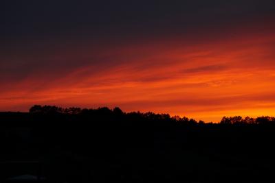 Прикрепленное изображение: A58DSC03070-1.jpg